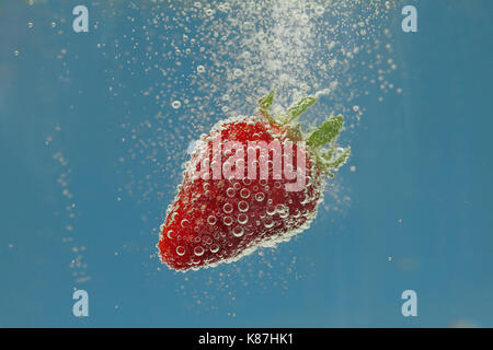 Erdbeere im Wasser Stockfoto