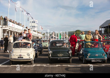 FIAT 500 Parade, 2017 Goodwood Revival Meeting Goodwood Rennstrecke, Chichester, West Sussex, England, Großbritannien Stockfoto