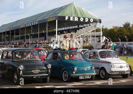 FIAT 500 Parade, 2017 Goodwood Revival Meeting Goodwood Rennstrecke, Chichester, West Sussex, England, Großbritannien Stockfoto