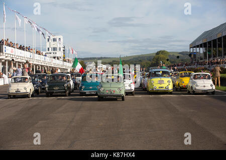 FIAT 500 Parade, 2017 Goodwood Revival Meeting Goodwood Rennstrecke, Chichester, West Sussex, England, Großbritannien Stockfoto