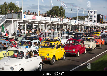 FIAT 500 Parade, 2017 Goodwood Revival Meeting Goodwood Rennstrecke, Chichester, West Sussex, England, Großbritannien Stockfoto