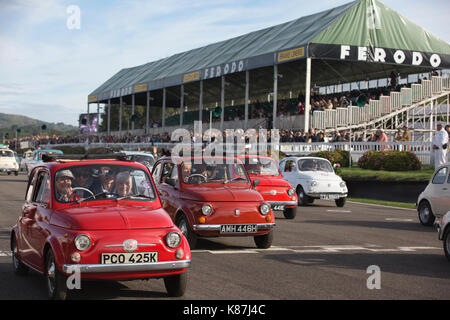 FIAT 500 Parade, 2017 Goodwood Revival Meeting Goodwood Rennstrecke, Chichester, West Sussex, England, Großbritannien Stockfoto