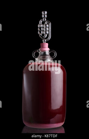 Blackberry Wein in einem demijohn mit Airlock und Gärung geschieht. Stockfoto