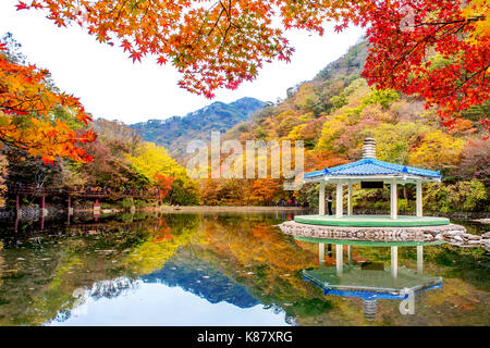 Herbst im Nationalpark Naejangsan, Südkorea. Stockfoto