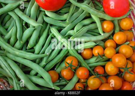 Frische organische sungold Tomaten, Early Girl Tomaten, und Blue Lake pole Beans, von einem Haus Garten im Zentrum von Oregon. Stockfoto