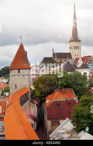 Spike von St. Olaf (oleviste) Kirche und Turm. Tallinn, Estland Stockfoto