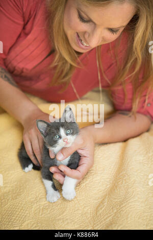 Eine Frau streicheln eine sehr kleine graue und weiße Katze. Stockfoto