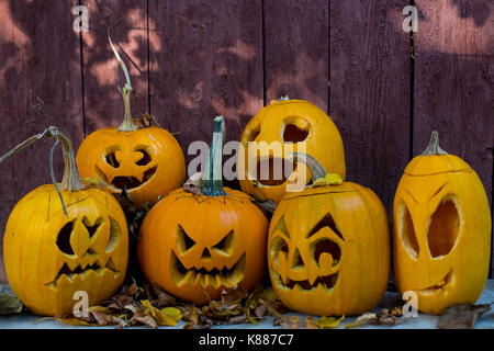 Kürbisse auf hölzernen Hintergrund mit Textfreiraum Stockfoto