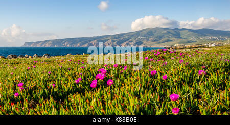 Praia do Guincho und Cabo da Roca, Portugal Der westlichste Punkt in Kontinentaleuropa Stockfoto