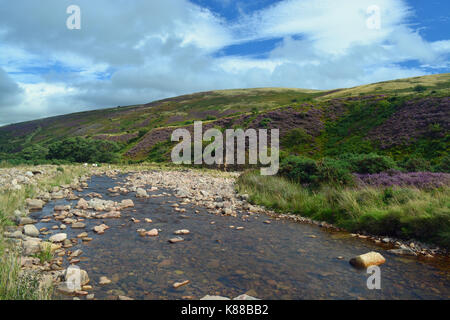 Harthope Tal, Northumberland Stockfoto