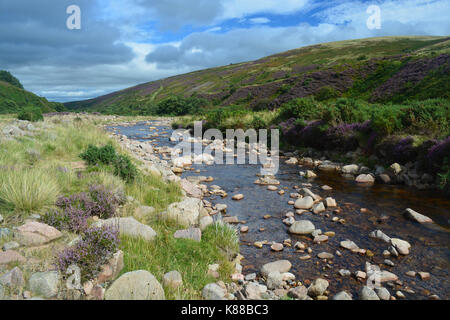 Harthope Tal, Northumberland Stockfoto