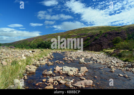 Harthope Tal, Northumberland Stockfoto