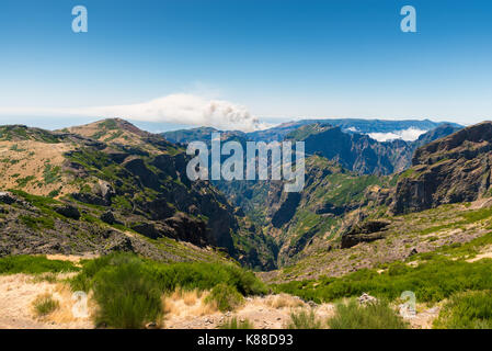 Madeira waldbrand