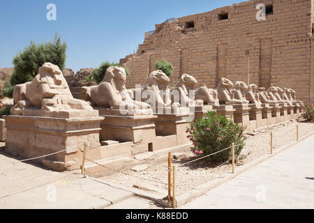 Ram-headed Sphingen Statue in Karnak Tempel, Luxor, Ägypten Stockfoto