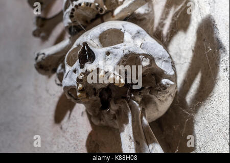 Details der Schädel im Sedlec-Ossuary Stockfoto