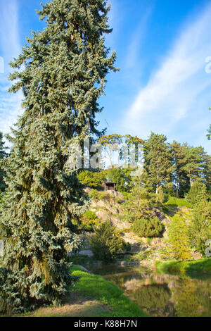 Frische grüne Vegetation mit Blumen und Rock im Park in der Nähe von Pruhonice Prag, Tschechische Republik in sonnigen Tag Stockfoto