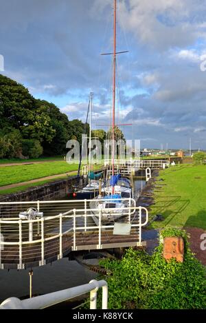 Lyndey dock Gloucestershire England Großbritannien Stockfoto