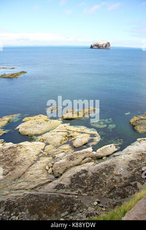 Bass Rock Blick von der schottischen Küste, Schottland. UK. Stockfoto