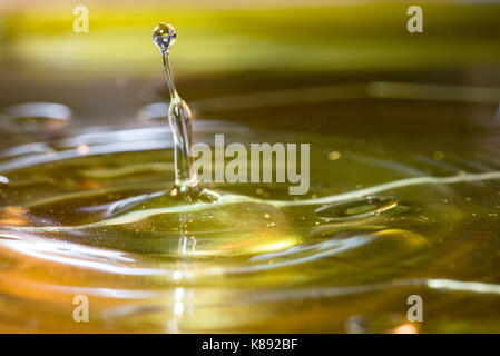 Landschaft der droplet Landung in tropischen Pool Stockfoto