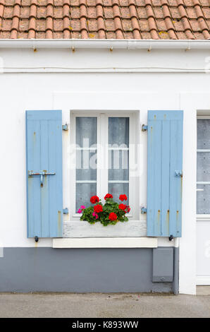 Typisch französische bemalten Fensterläden im Pas-de-Calais Dorf Audresselles Stockfoto