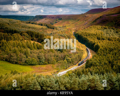 Ein Dampfzug der North Yorkshire Moors Railway Reisen durch Newton Dale. Stockfoto