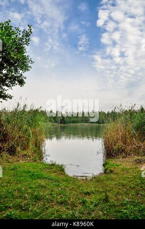 Schönen Sommer Landschaft. Grünes Gras und blauer Himmel am See. Stockfoto