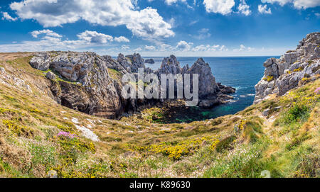 Panorama von Pointe du Stift-Hir auf der Halbinsel Crozon, blühende Heidekraut (Calluna Vulgaris), Finistere Abteilung Camaret-Sur-Mer, Parc Naturel Regio Stockfoto