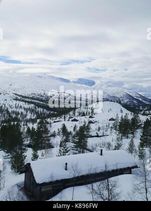 Skandinavische Blockhütten eingebettet in einem verschneiten Wald. Ein Blick von einer der schönsten Bahnfahrten der Welt: Von Oslo nach Bergen (Norwegen) Stockfoto