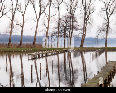 Bad Zwischenahn, Deutschland - 23 November, 2016: Herbst Landschaft im öffentlichen Park der Spa Village Stockfoto