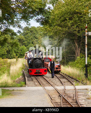 Dampfzug auf der Bala Lake Schmalspurbahn in North Wales Stockfoto