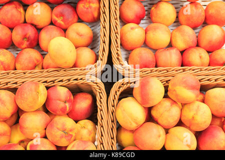 Himmlische Pfirsiche in den Korb Stockfoto