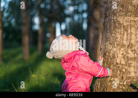 Kleines Kind schaut oben am Baum Stockfoto