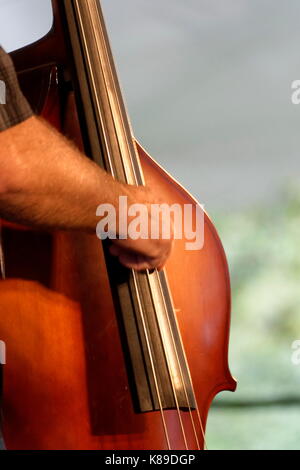 Kontrabass Spieler mit einer Hand gezeigt auf dem Instrument spielen. Stockfoto