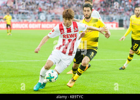 Keine VERKÄUFE IN JAPAN! Yuya OSAKO, links, 1.FC Köln, gegen Nuri Sahin, Borussia Dortmund, Aktion, Zweikampf, Fussball 1. Bundesliga, 4. Spieltag Borussia Dortmund (DO) - 1. FC Koeln 5:0, am 17.09.2017 in Dortmund/Deutschland. | Verwendung weltweit Stockfoto