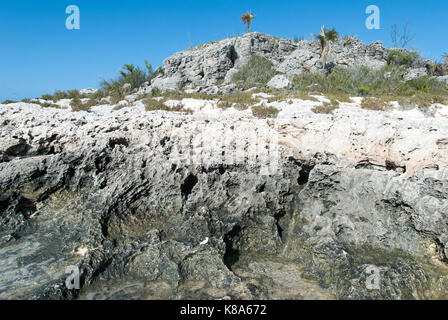 Die felsige Landschaft der unbewohnten Insel Half Moon Cay (Bahamas). Stockfoto