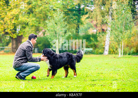 Hund abrufen Ball für seinen Vati in Park Stockfoto