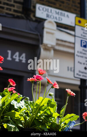 Die Columbia Road Sign blickt auf den berühmten Blume narket Stockfoto