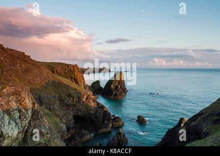 Ein Blick von den Klippen von Kynance Cove in Cornwall, England, die von der National Trust bei Sonnenuntergang, die die zerklüftete Landschaft und Meer gehört. Stockfoto