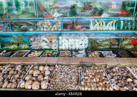 Fisch, Hummer, Krabben und andere Weichtiere Meeresfrüchte werden in Aquarien im Seafood Markt in Sai Kung, Hongkong. Sai Kung Village ist bekannt f Stockfoto