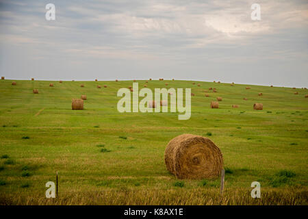 Hayes, South Dakota - Heuballen auf einem Bauernhof in Stanley County. Stockfoto
