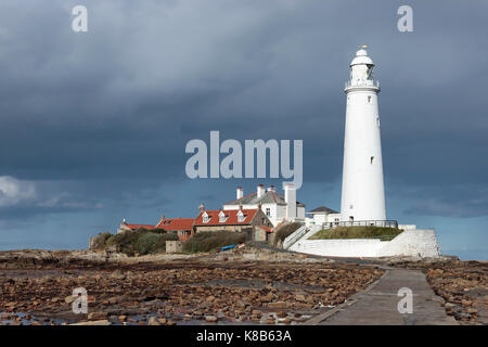 St Mary's Leuchtturm, St Mary's Island, Nr. Whitley Bay, North East England, UK in direktem Sonnenlicht gegen einen dunklen Himmel bei Ebbe am frühen Abend Stockfoto