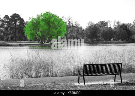 Grüner Baum in schwarzen und weißen Landschaft Szene mit einer leeren Parkbank mit Blick auf das Wasser Stockfoto