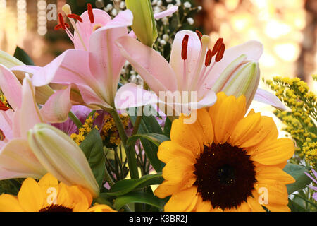 Lilien und Sonnenblumen in Bild horizontal Stockfoto