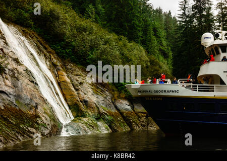 Der National Geographic Sea Lion Erkundung Misty Fjords National Monument, Alaska, USA Stockfoto