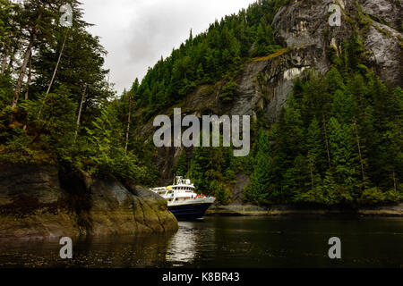 Der National Geographic Sea Lion Erkundung Misty Fjords National Monument, Alaska, USA Stockfoto