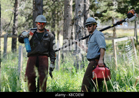 Die Boulder Mountain Fire Protection District, eine freiwillige Feuerwehr, hat Full-time Brand mitigation Experten, die auch als Feuerwehrmänner trainted. Stockfoto