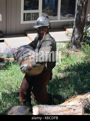 Die Boulder Mountain Fire Protection District, eine freiwillige Feuerwehr, hat Full-time Brand mitigation Experten, die auch als Feuerwehrleute ausgebildet. Stockfoto