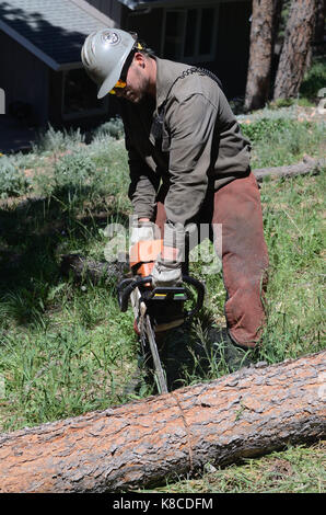 Die Boulder Mountain Fire Protection District, eine freiwillige Feuerwehr, hat Full-time Brand mitigation Experten, die auch als Feuerwehrleute ausgebildet. Stockfoto