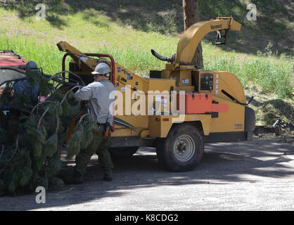 Die Boulder Mountain Fire Protection District, eine freiwillige Feuerwehr, hat Full-time Brand mitigation Experten, die auch als Feuerwehrmänner trainted. Stockfoto