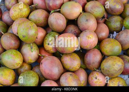 Frische Maracuja Passionsfrucht (maracuja) am lokalen Markt in Asien. Stockfoto